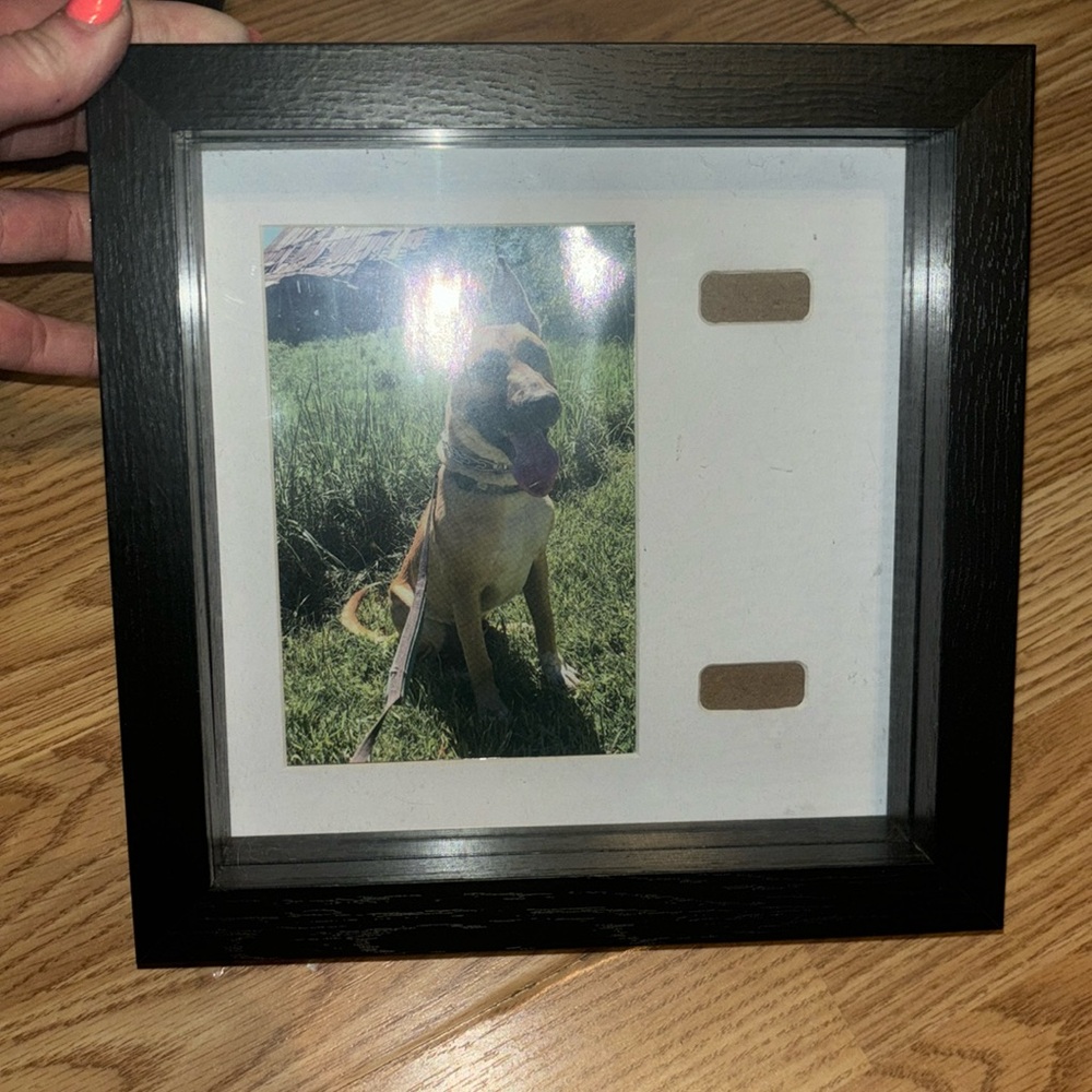 Pet memorial shadow box picture frame with collar .
